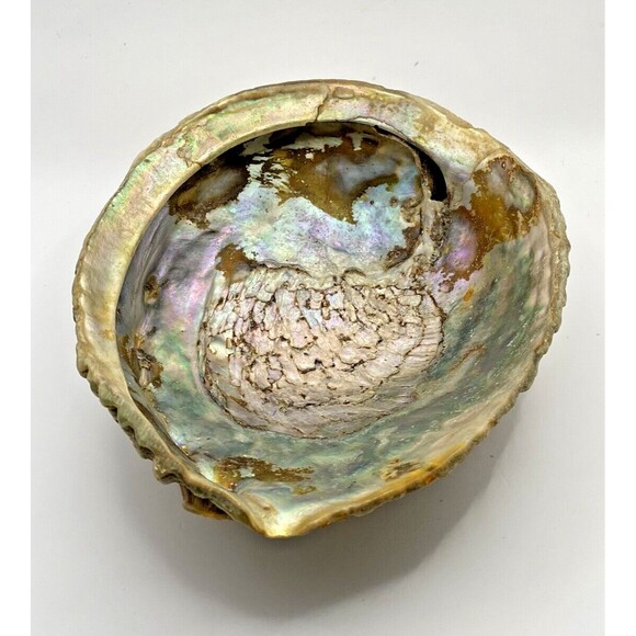 Vintage Abalone Shell Trinket Dish Mother Of Pearl Lucite Feet Used - Picture 1 of 15